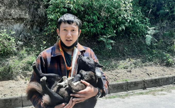 Medication for stary dogs