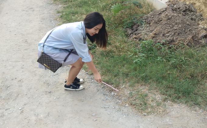 เก็ยขยะ