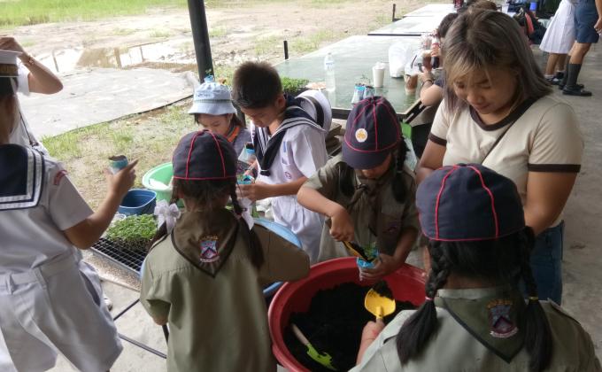 ปลูกต้นไม้