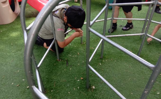 กิจกรรมจิตอาสา