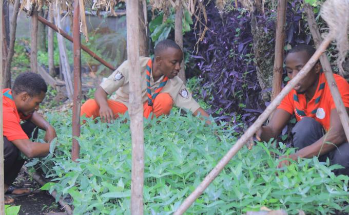 Lutter contre le changement climatique et participer à la bonne alimentation, les scouts de Goma se rangent en première ligne de bataille.