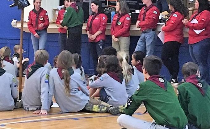 In praise of the shy Scout