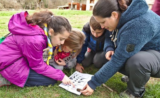 Le Scoutisme Français célèbre la fraternité
