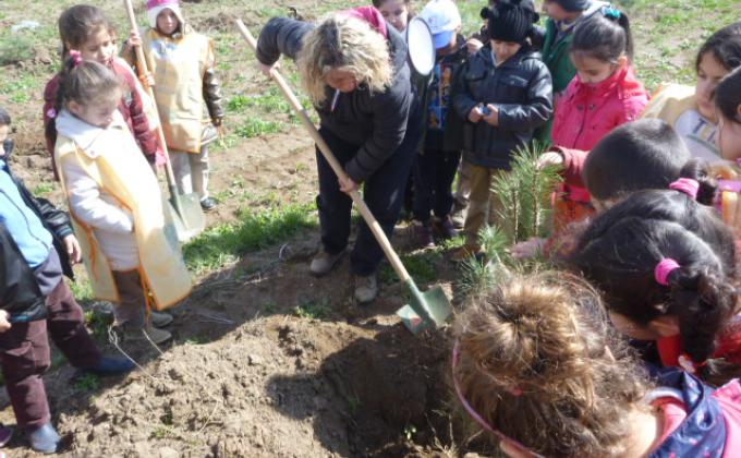 SHARING TREE PLANTING EVENT WITH ONE SCOUT ONE TREE PROGRAM