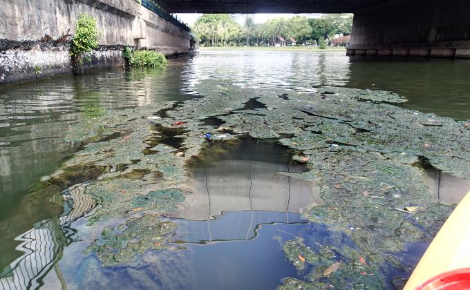 Scouts remove Algae from Reservoir