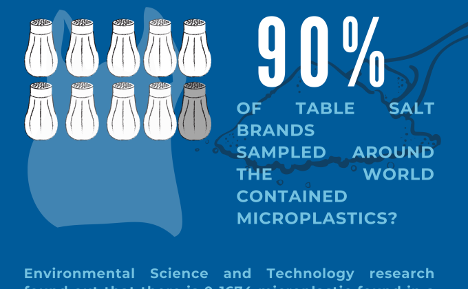 PLASTIC SURPRISES: DIGITAL POSTER/INFOGRAPHIC