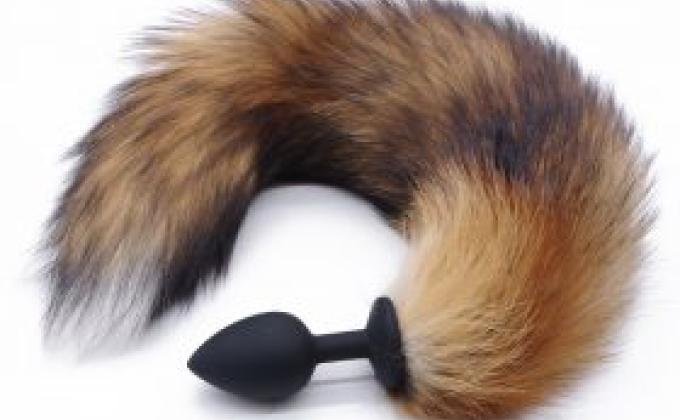 All Possible Information About Petplay