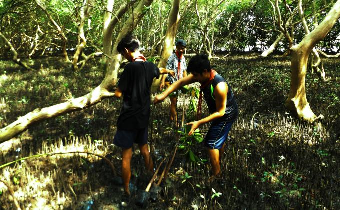BSP helps the Mangrove Restoration project 