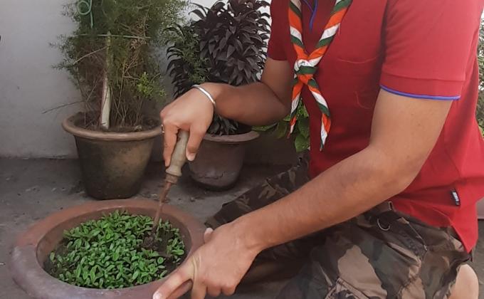 #GoOrganic #HomeFarm