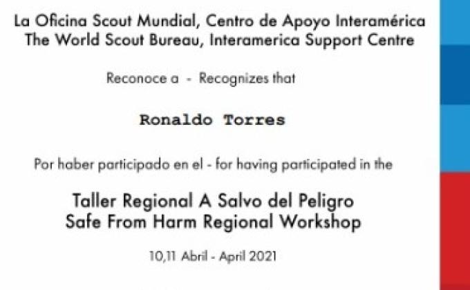 Ronaldo Torres Certificate 