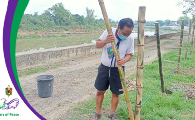 Bamboo Tree Growing Project | Nueva Ecija Council