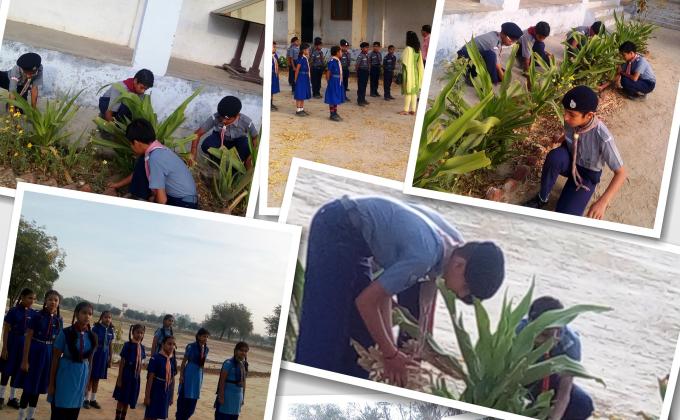 Weekly meeting of Scouts &Guides - KV Fazilka on 07.04.2016 - Service - Gardening, cleanliness work.