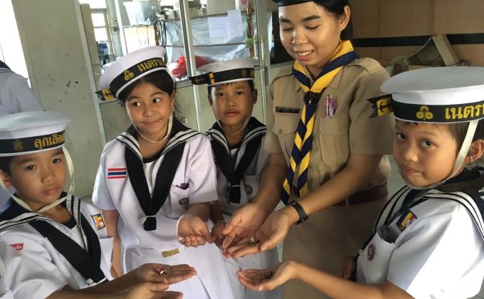 จิตอาสาลูกเสือ-เนตรนารีสมุทร 