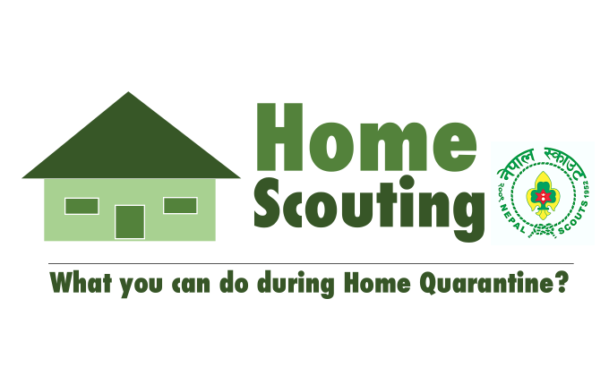 HOME SCOUTING! COVID-19