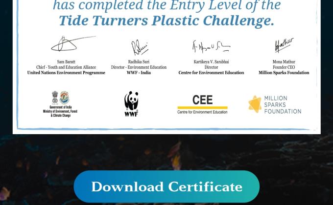 plastic tide turners challenge