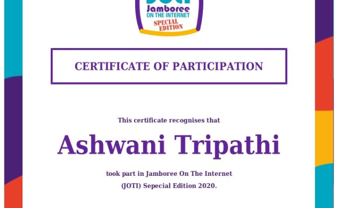 Certificate of participation