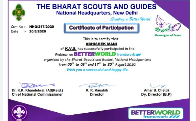 CERTIFICATE OF BWF2020