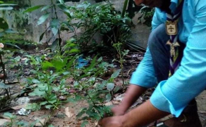 Celebrating Tree Plantation Day 2020