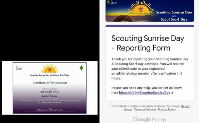 NYF/SUNRISE/SCARF= CERTIFICATE 