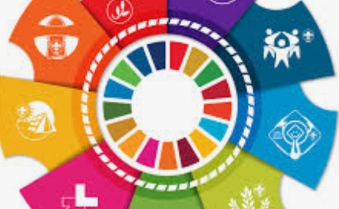 My Report on all the days of Better World Framework