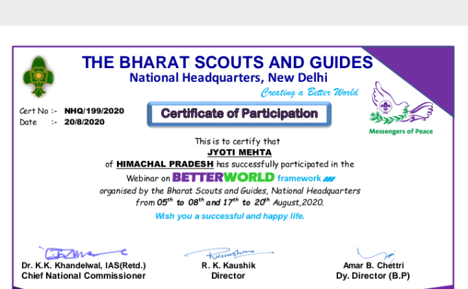 Better World Framework webinar series Certificate 