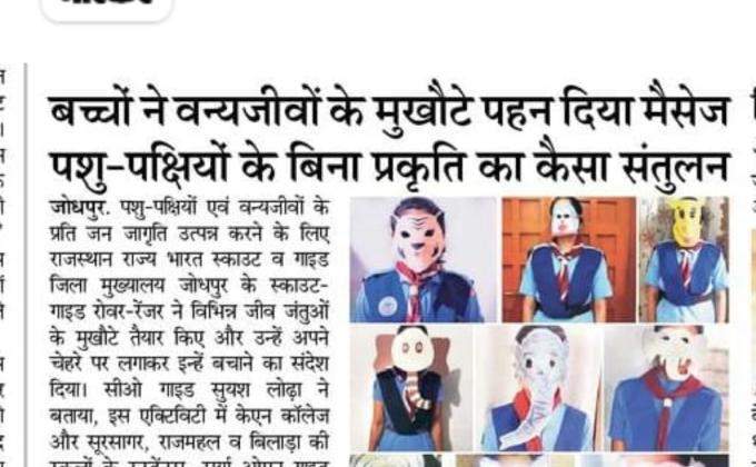 save animals and birds 