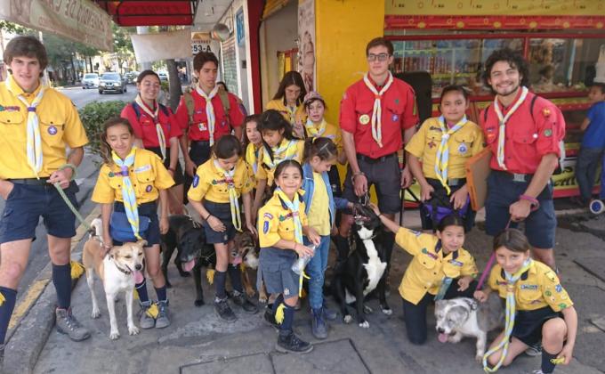 Donación de paseos para perros de albergue -  Manada Grupo 8 BJ