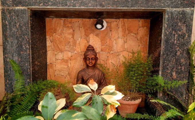 Self Clicked Peace Pictures 