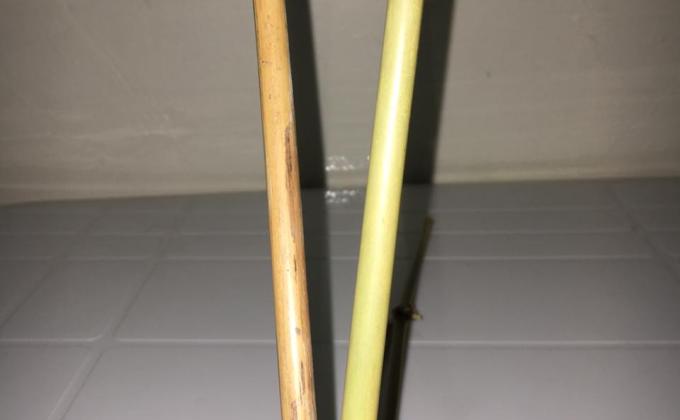 Bamboo Drinking Straws: Substitutes to Conventional Plastic Drinking Straws