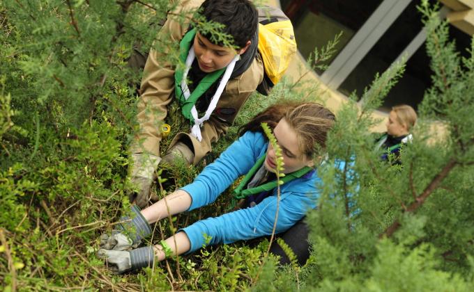 Going Green at the World Scout Committee Meeting
