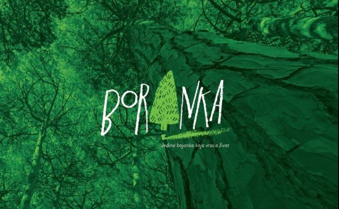 CROATIAN SCOUTS ARE ORGANIZING THE LARGEST VOLUNTARY ACTION OF REFORESTATION OF BURNED AREAS IN CROATIA