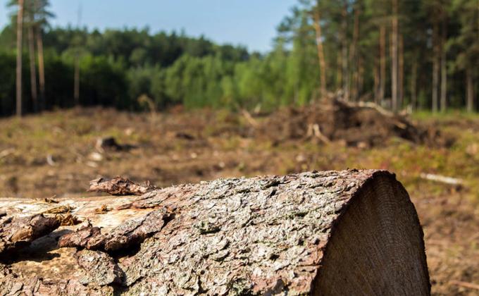 L'environnement est Trésor précieux