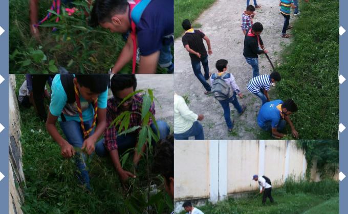 Project clean is green.