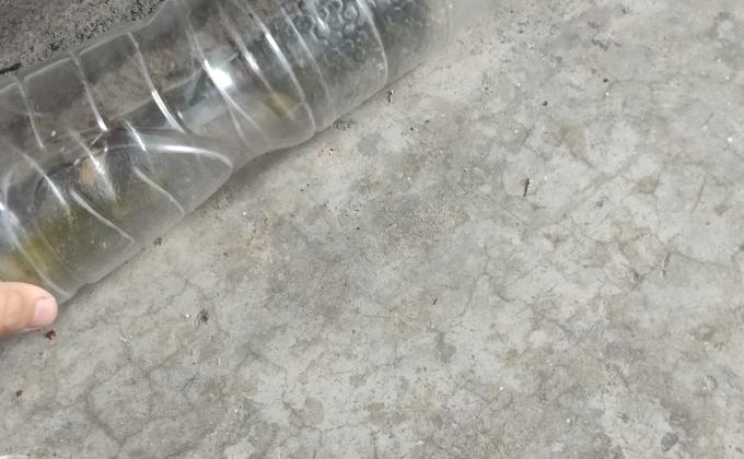 จิตอาสา