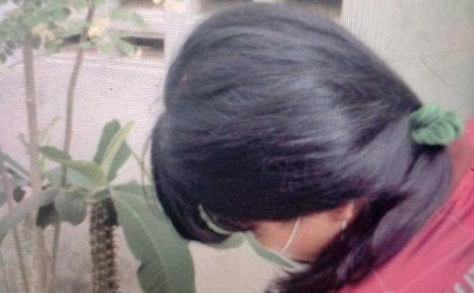 ช่วยรดน้ำต้นไม้