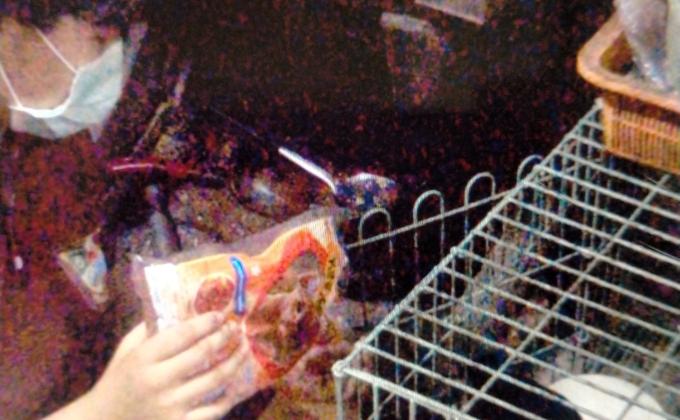 ช่วยเเม่ให้อาหารเเมว