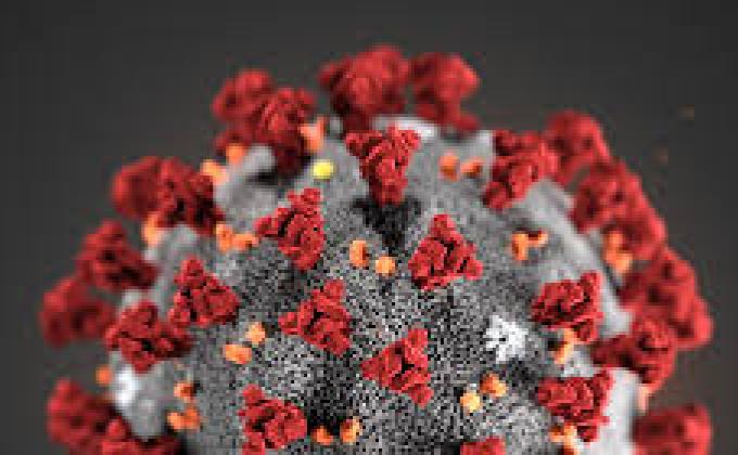 Coronavirus 