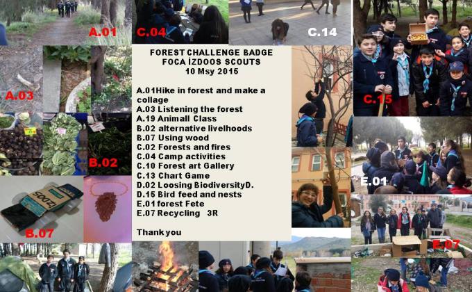 ACHIEVEMENT . FOREST CHALLENGE BADGE YUNGA