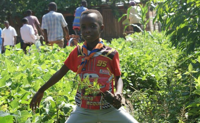 scout et environnement