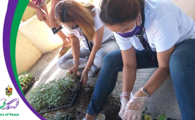 Messengers Of Peace Community PanTree | Pampanga Council