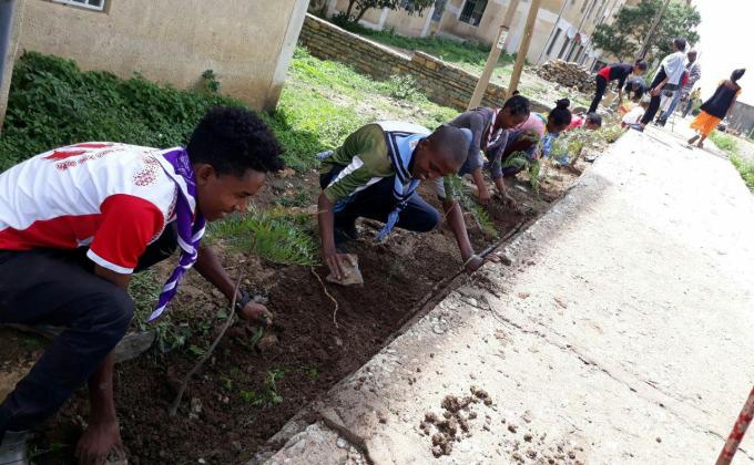 planting trees