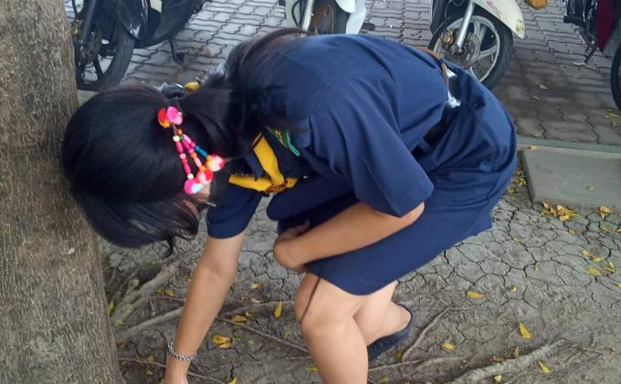 เก็บขยะในวิลัย