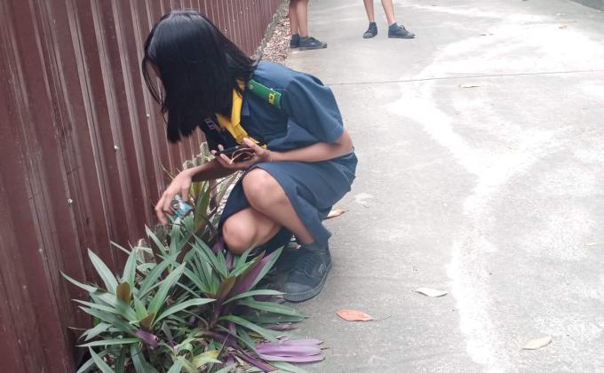 เก้บขยะ