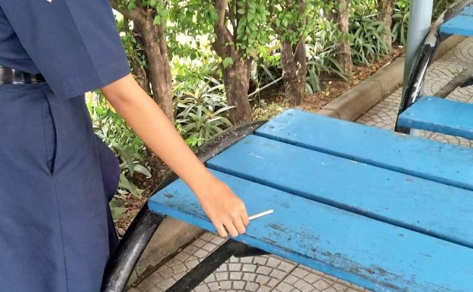 เก็บไม้ไอติมที่โรงเรียนจันสิริ