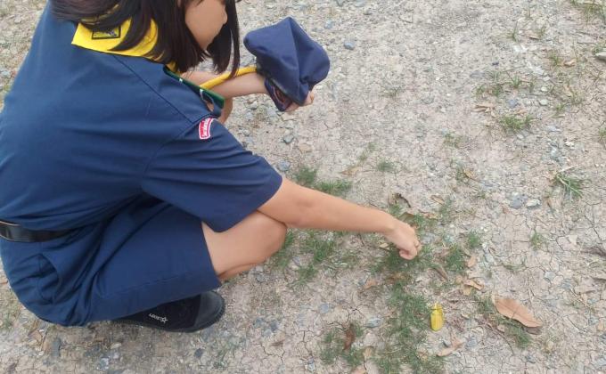 เก็บใบไม้