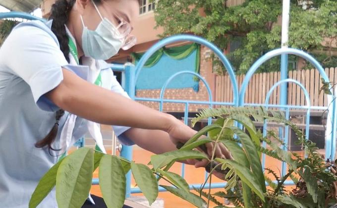 จิตอาสาตัดแต่งกิ่งไม้