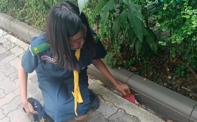 เก็บขยะ