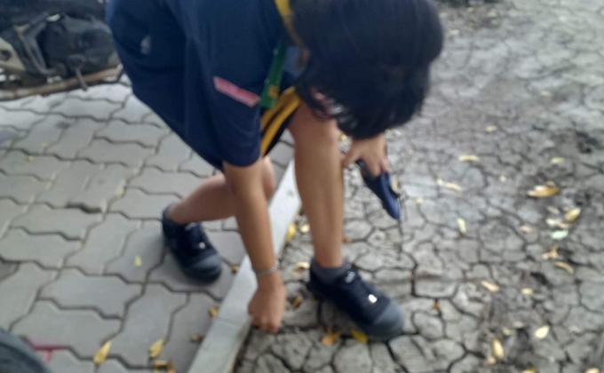 เก็บขยะในวิลัย