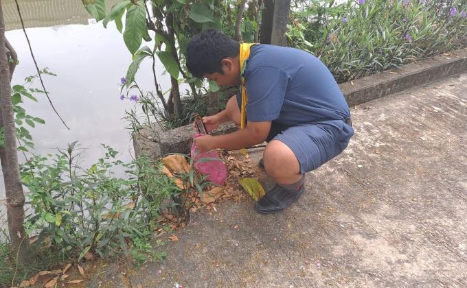 เก็บขยะ