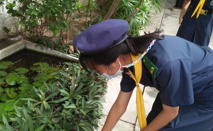 กิจกรรมเก็บขยะ